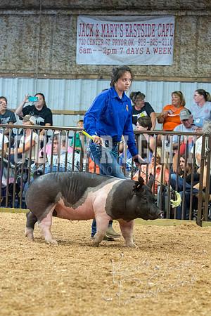MAYES_COUNTY_FAIR_SWINE_©KTROYER-9593