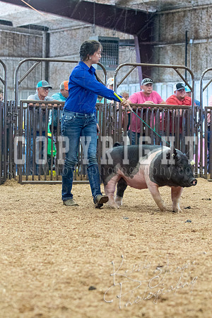 MAYES_COUNTY_FAIR_SWINE_©KTROYER-9596