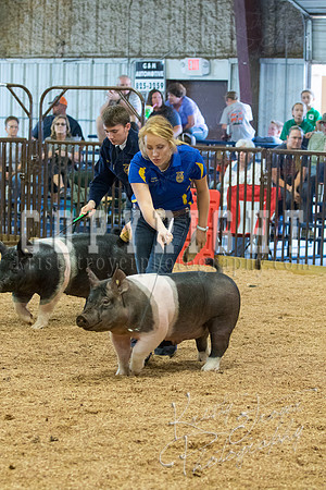 MAYES_COUNTY_FAIR_SWINE_©KTROYER-9597