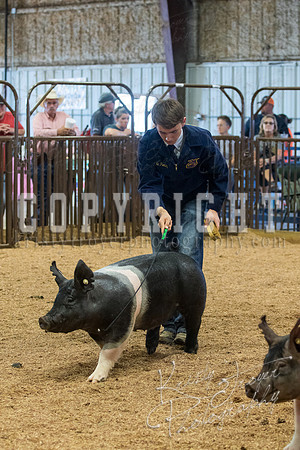 MAYES_COUNTY_FAIR_SWINE_©KTROYER-9598