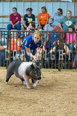MAYES_COUNTY_FAIR_SWINE_©KTROYER-9600