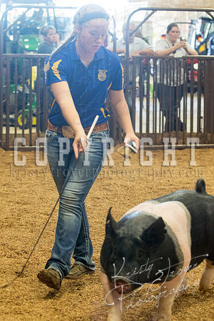 MAYES_COUNTY_FAIR_SWINE_©KTROYER-9601