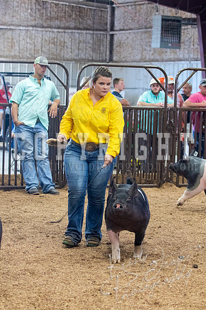 MAYES_COUNTY_FAIR_SWINE_©KTROYER-9602