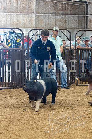 MAYES_COUNTY_FAIR_SWINE_©KTROYER-9603
