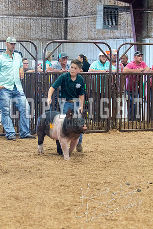 MAYES_COUNTY_FAIR_SWINE_©KTROYER-9604