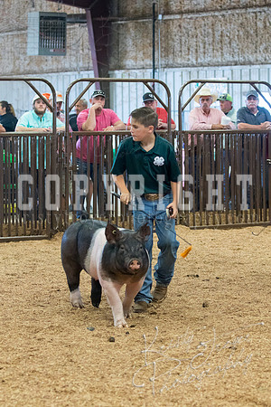 MAYES_COUNTY_FAIR_SWINE_©KTROYER-9605