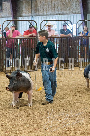 MAYES_COUNTY_FAIR_SWINE_©KTROYER-9606