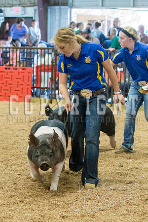 MAYES_COUNTY_FAIR_SWINE_©KTROYER-9608