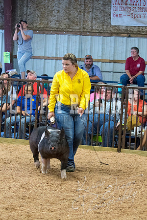 MAYES_COUNTY_FAIR_SWINE_©KTROYER-9609