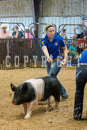 MAYES_COUNTY_FAIR_SWINE_©KTROYER-9610