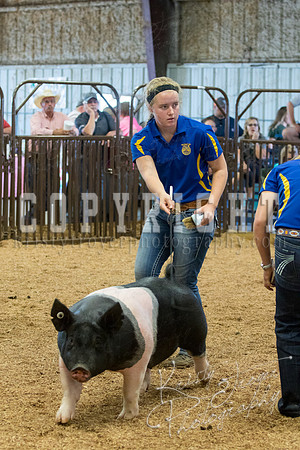 MAYES_COUNTY_FAIR_SWINE_©KTROYER-9611