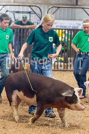 MAYES_COUNTY_FAIR_SWINE_©KTROYER-9613