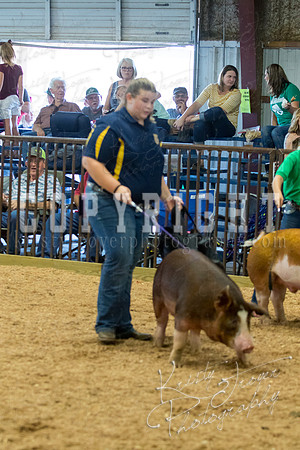 MAYES_COUNTY_FAIR_SWINE_©KTROYER-9614