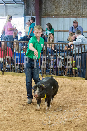 MAYES_COUNTY_FAIR_SWINE_©KTROYER-9616