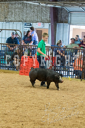 MAYES_COUNTY_FAIR_SWINE_©KTROYER-9617