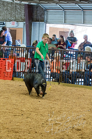 MAYES_COUNTY_FAIR_SWINE_©KTROYER-9618