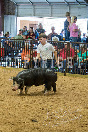MAYES_COUNTY_FAIR_SWINE_©KTROYER-9619