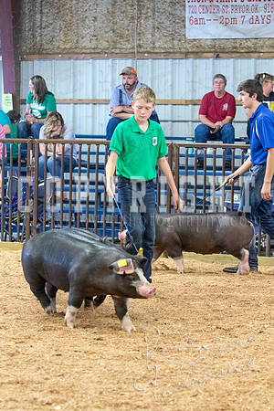 MAYES_COUNTY_FAIR_SWINE_©KTROYER-9621