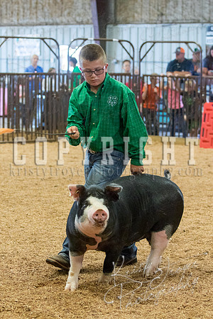 MAYES_COUNTY_FAIR_SWINE_©KTROYER-9622