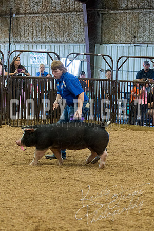 MAYES_COUNTY_FAIR_SWINE_©KTROYER-9623