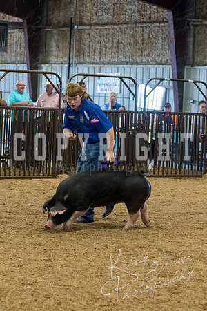 MAYES_COUNTY_FAIR_SWINE_©KTROYER-9624