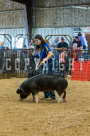 MAYES_COUNTY_FAIR_SWINE_©KTROYER-9626