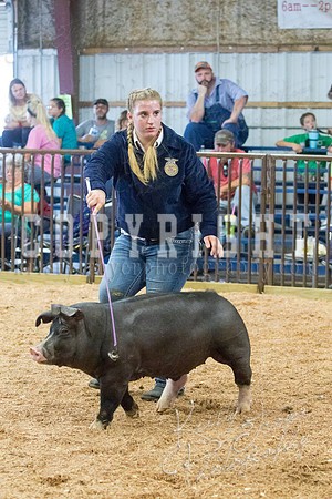 MAYES_COUNTY_FAIR_SWINE_©KTROYER-9625