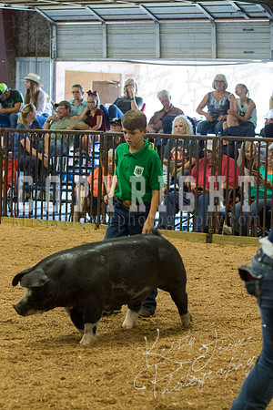 MAYES_COUNTY_FAIR_SWINE_©KTROYER-9627