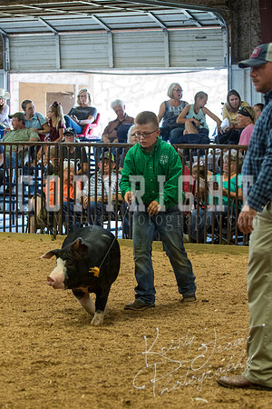 MAYES_COUNTY_FAIR_SWINE_©KTROYER-9628