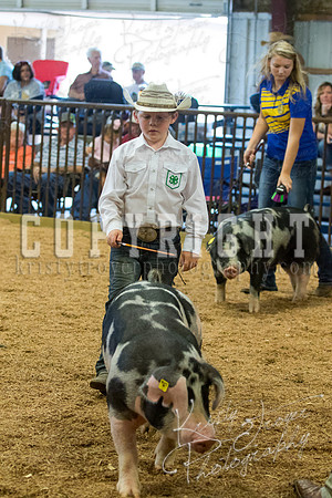 MAYES_COUNTY_FAIR_SWINE_©KTROYER-9629