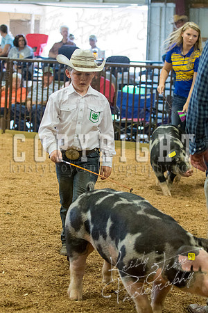 MAYES_COUNTY_FAIR_SWINE_©KTROYER-9630