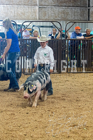 MAYES_COUNTY_FAIR_SWINE_©KTROYER-9631