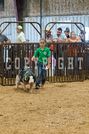 MAYES_COUNTY_FAIR_SWINE_©KTROYER-9632