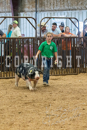 MAYES_COUNTY_FAIR_SWINE_©KTROYER-9633