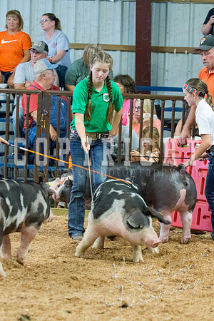 MAYES_COUNTY_FAIR_SWINE_©KTROYER-9634