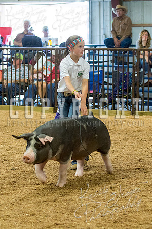 MAYES_COUNTY_FAIR_SWINE_©KTROYER-9635