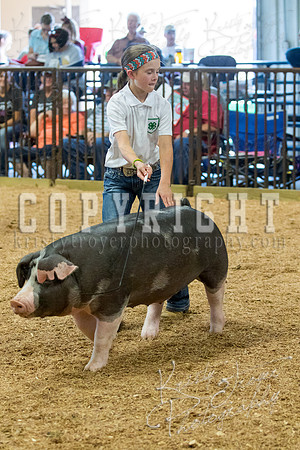 MAYES_COUNTY_FAIR_SWINE_©KTROYER-9636