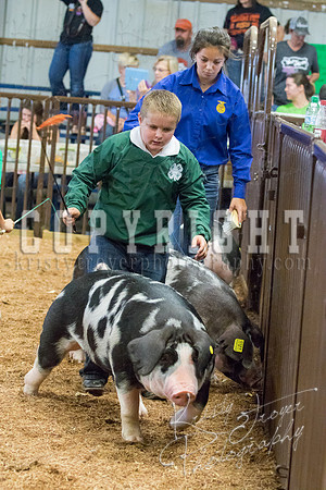 MAYES_COUNTY_FAIR_SWINE_©KTROYER-9637