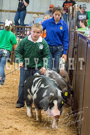 MAYES_COUNTY_FAIR_SWINE_©KTROYER-9638