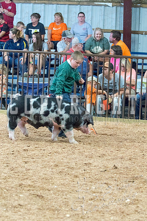 MAYES_COUNTY_FAIR_SWINE_©KTROYER-9639