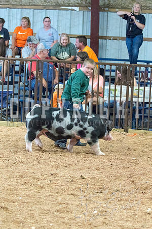 MAYES_COUNTY_FAIR_SWINE_©KTROYER-9640