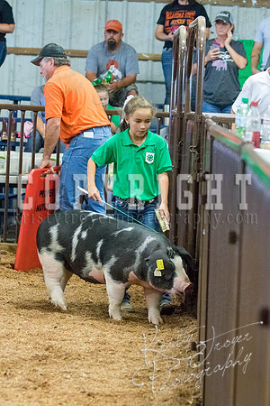 MAYES_COUNTY_FAIR_SWINE_©KTROYER-9641