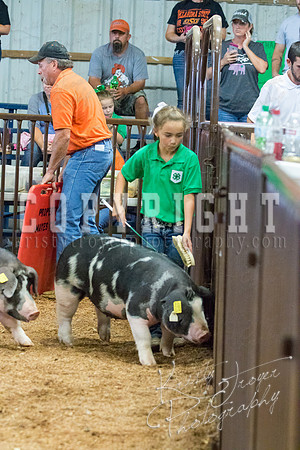 MAYES_COUNTY_FAIR_SWINE_©KTROYER-9642