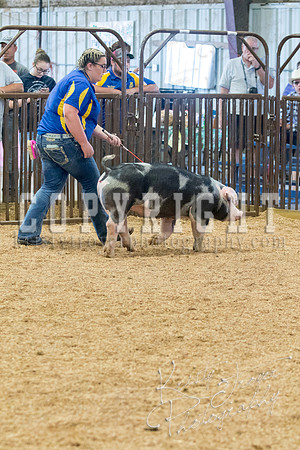 MAYES_COUNTY_FAIR_SWINE_©KTROYER-9643