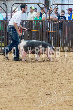 MAYES_COUNTY_FAIR_SWINE_©KTROYER-9644