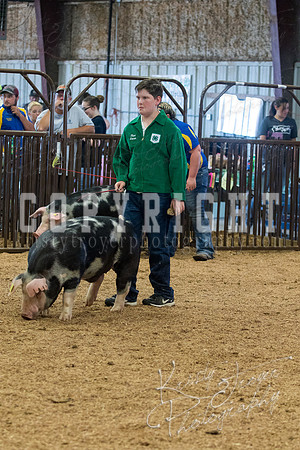 MAYES_COUNTY_FAIR_SWINE_©KTROYER-9645