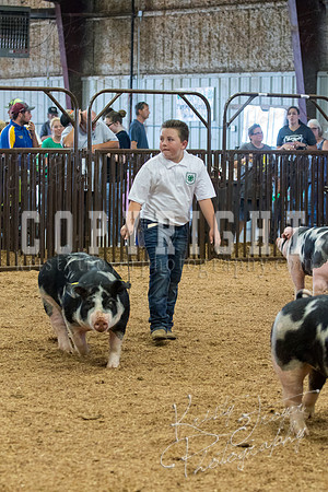 MAYES_COUNTY_FAIR_SWINE_©KTROYER-9646