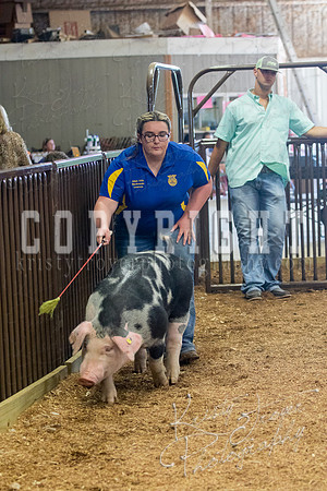 MAYES_COUNTY_FAIR_SWINE_©KTROYER-9648