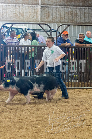 MAYES_COUNTY_FAIR_SWINE_©KTROYER-9649