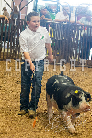 MAYES_COUNTY_FAIR_SWINE_©KTROYER-9650